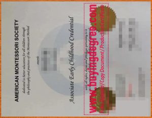 Advantages of getting American Montessori Society fake certificate?