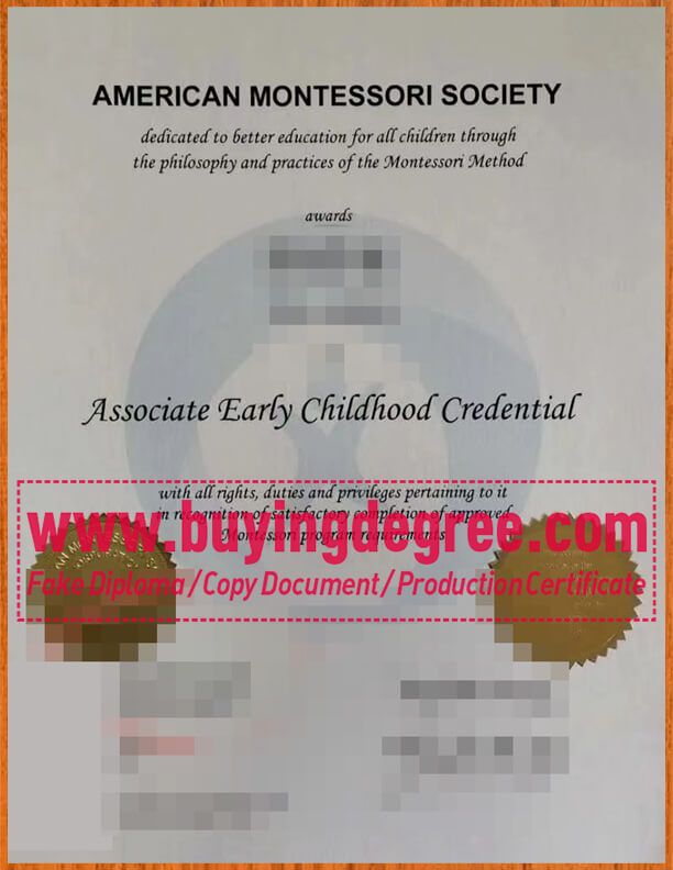 What are the advantages of obtaining the American Montessori Society certificate quickly?