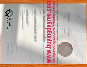 fake Bar-Ilan University diploma