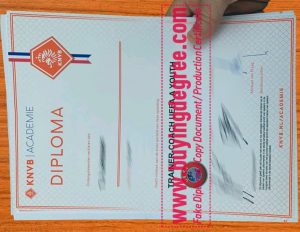 Buy KNVB ACADEMIE Fake DIPLOMA Quickly, Get Trainer-Coach UEFA A Youth qualification