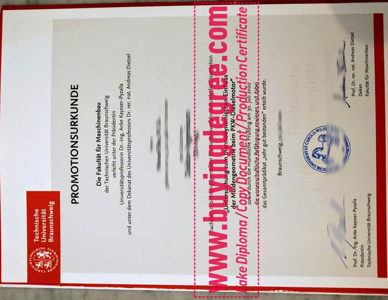 Technical University of Braunschweig Fake Diploma