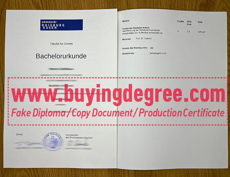 Buy a fake University of Duisburg-Essen degree