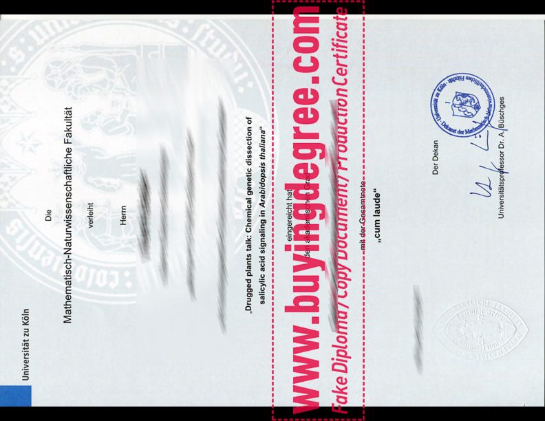 fake University of Cologne diploma