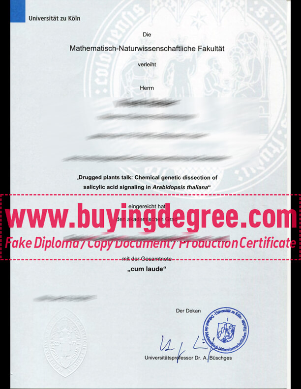 Can I buy a fake University of Cologne diploma in Germany?