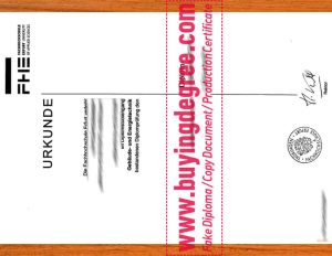 fake University of Erfurt diploma