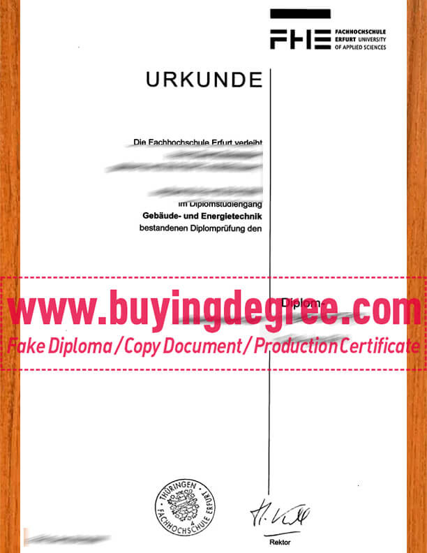 Best way to order fake diploma from University of Erfurt