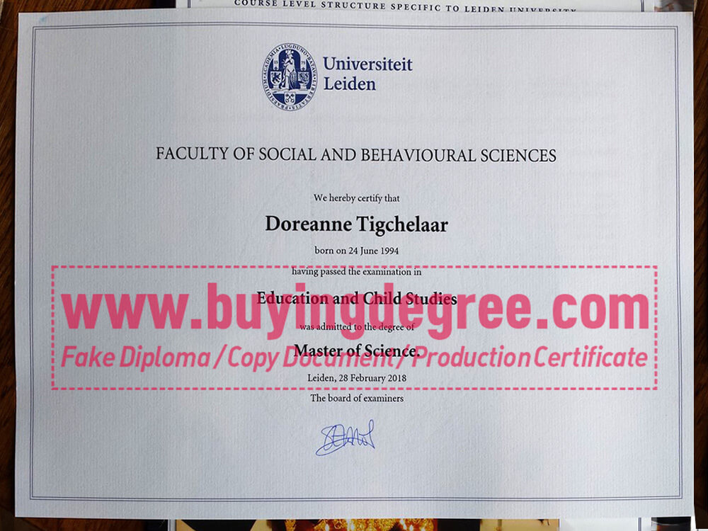 How much does it cost to buy a fake Leiden University diploma?