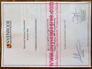 get a fake Nyenrode Business University diploma