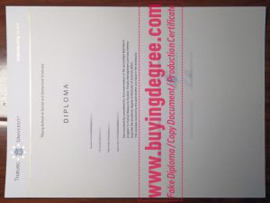 Buy a Tilburg University Fake Diploma