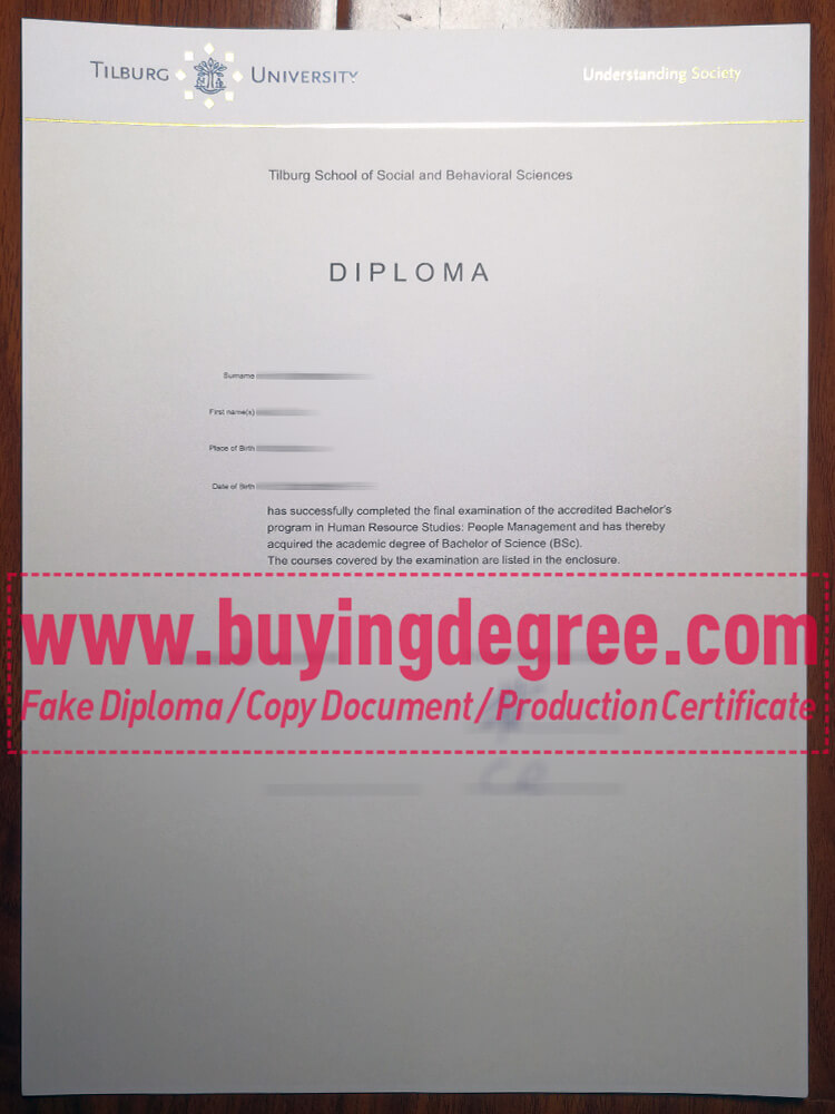 Top Reasons to Buy a Tilburg University Fake Diploma
