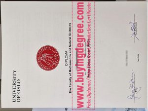 buy a fake University of Oslo diploma in Norway