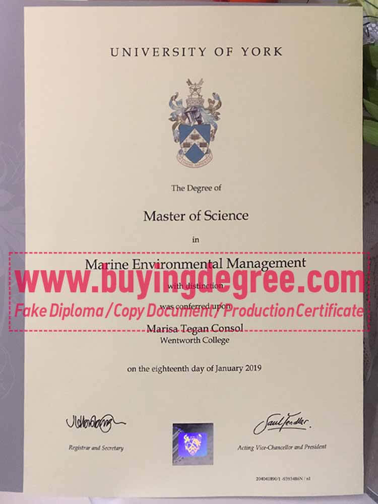 buy a fake University of York degree