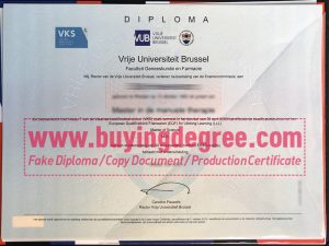 fake Vrije Universiteit Brussel diploma, fake VUB degree