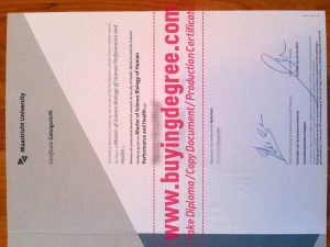 fake Maastricht University diploma in the Netherlands