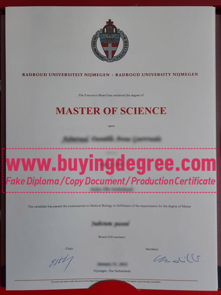 Details of ordering a fake Radboud University degree online