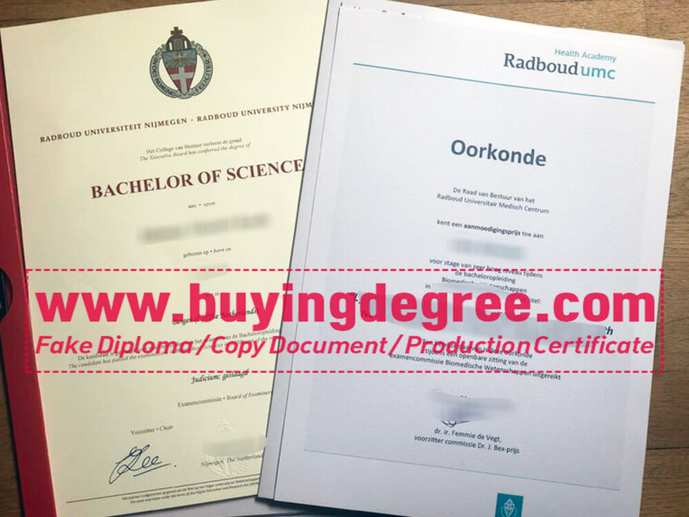 Details of ordering a fake Radboud University diploma online