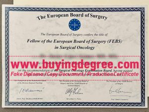 Order a Fellow of the European Board of Surgery fake certificate