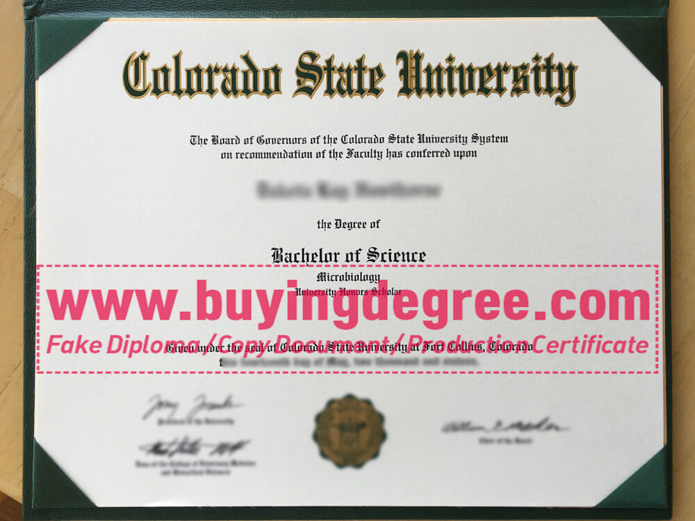 How to get a high-quality fake CSU degree