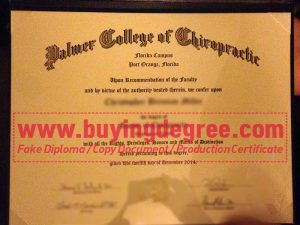 fake Palmer College of Chiropractic diploma