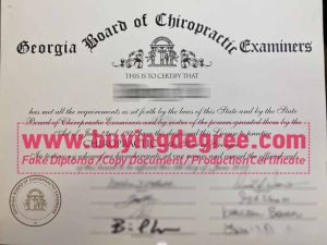 fake Georgia Board of Chiropractic Examiners certificate