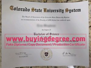 fake Colorado State University system diploma