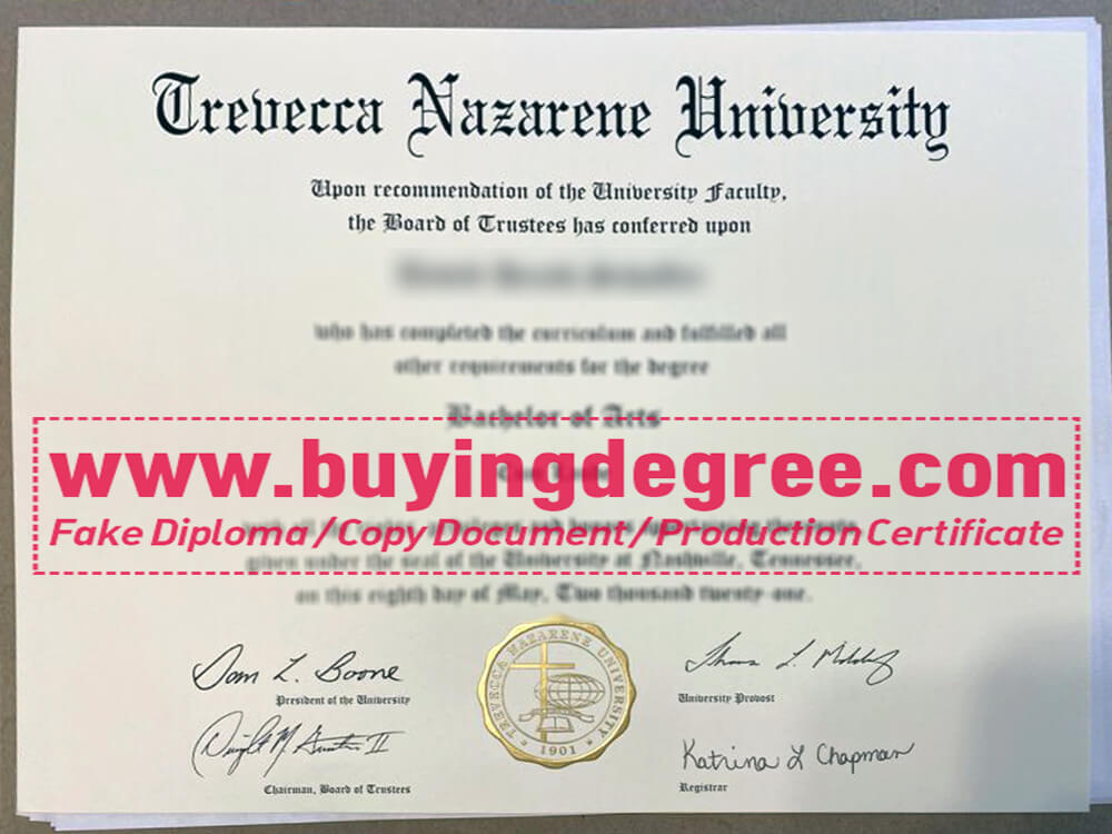 get a fake TNU degree in USA