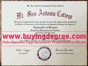 Customize a Mt. San Antonio College fake diploma