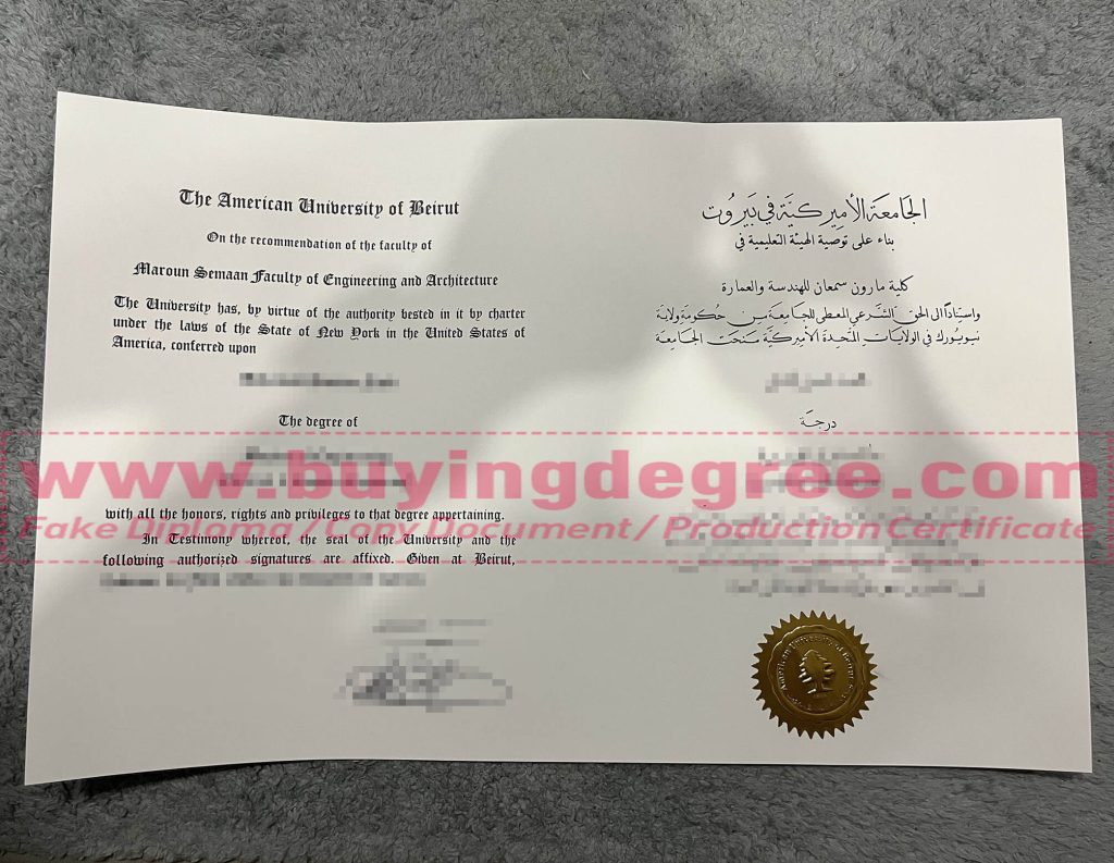 American University of Beirut Diploma