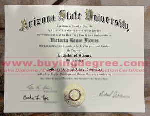 Arizona State University Degree