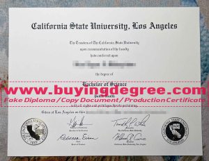 fake Cal State LA diploma