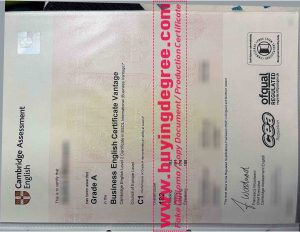 Cambridge C1 Advanced Certificate