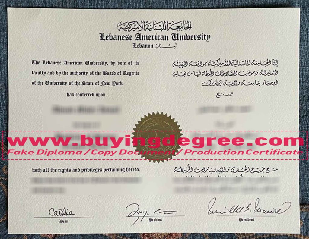 fake Lebanese American University diploma