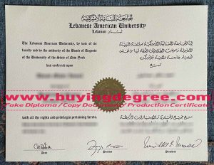 fake Lebanese American University diploma
