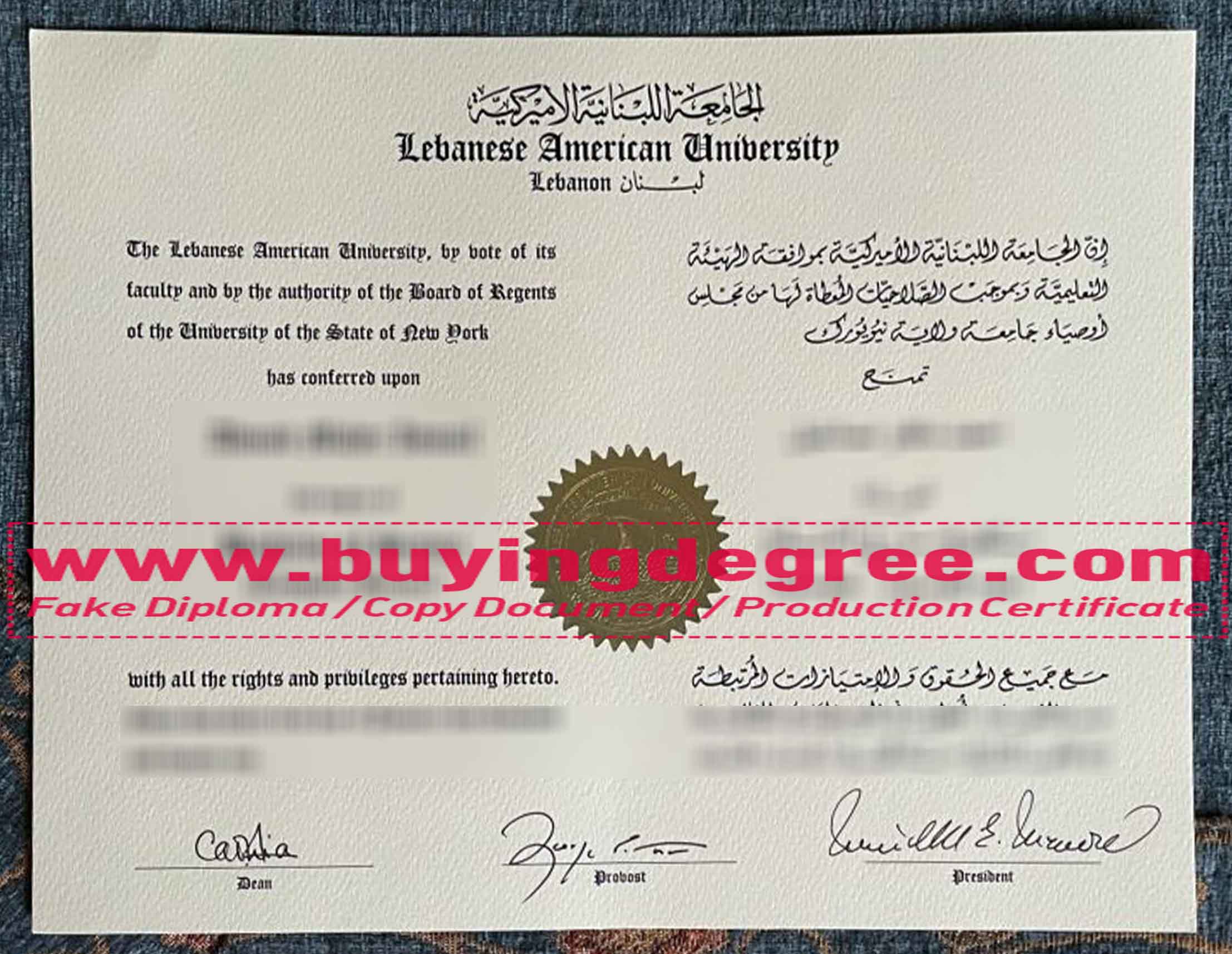 fake Lebanese American University diploma
