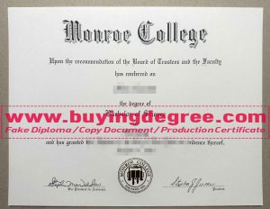 Monroe College degree