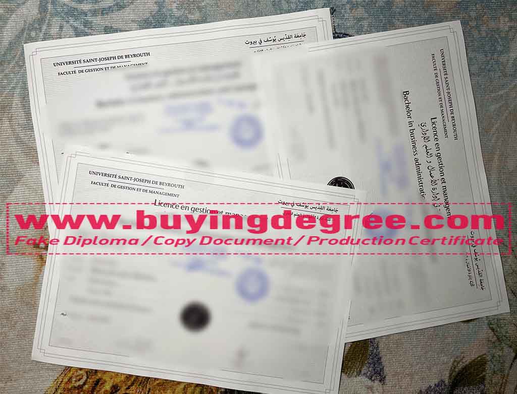 Saint Joseph University of Beirut certificate