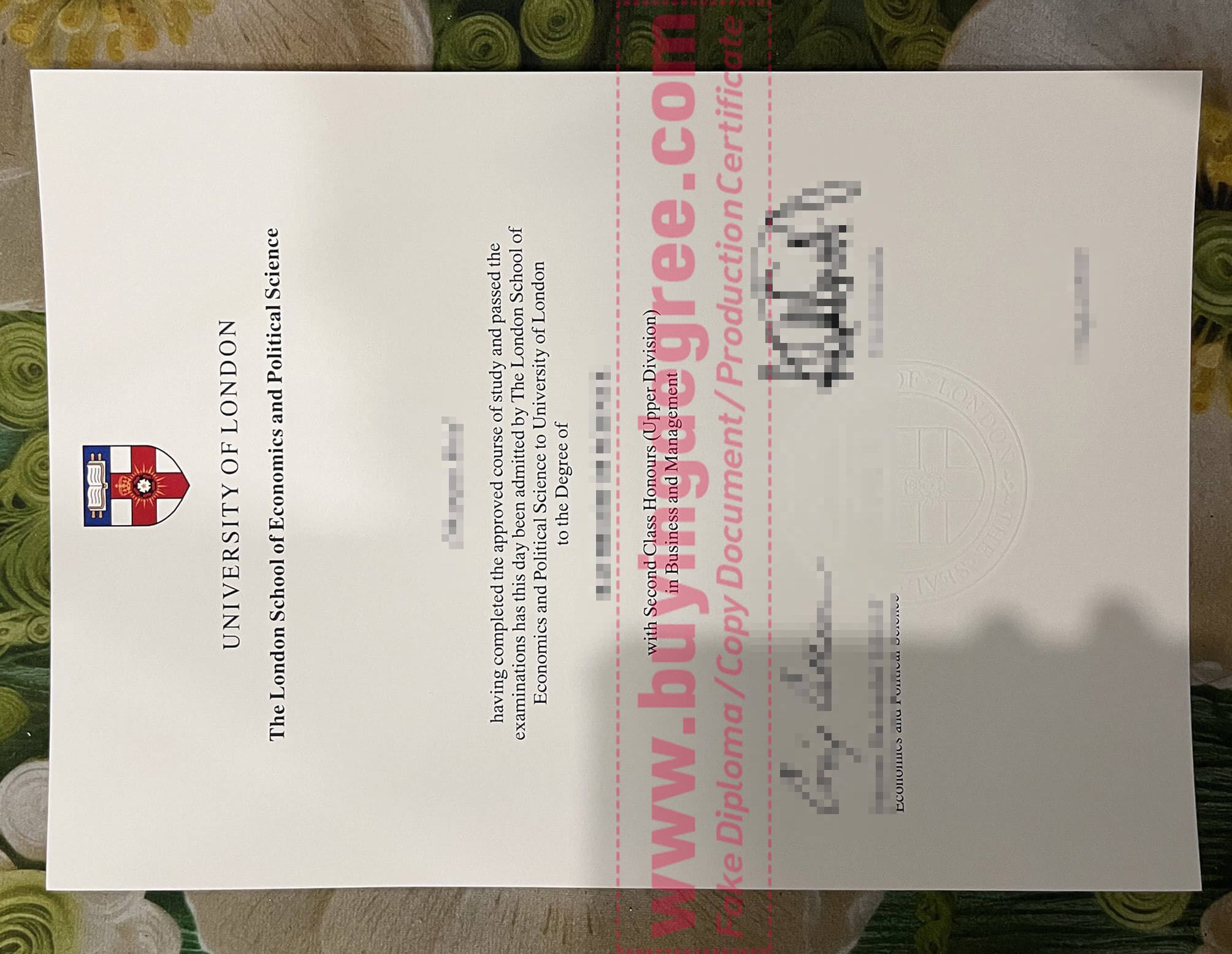University of London Degree