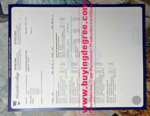 fake Alexander College transcript