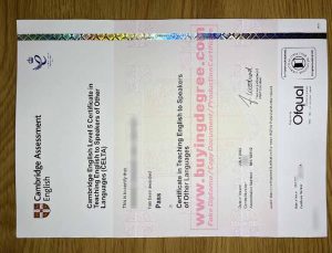 Cambridge CELTA Certificate 2022