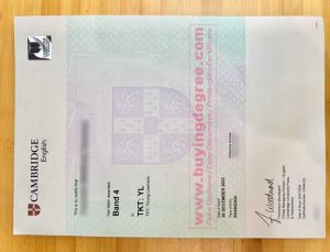 Cambridge TKT Certificate 2023