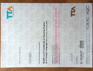 Latest sample of TEFL Academy Certificate