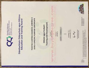QQI Level 6 Specific Purpose Certificate