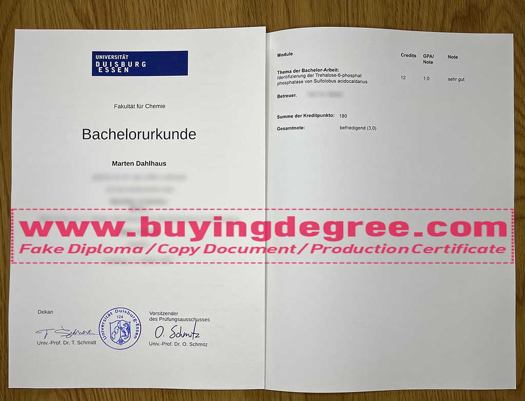Universität Duisburg Essen degree and transcript