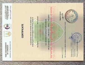 Universtty of Jordan Law diploma